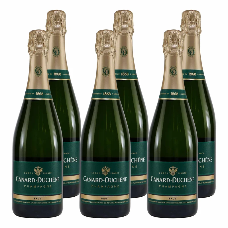 Canard Duchêne Champagne Brut (6 x 0,75L)