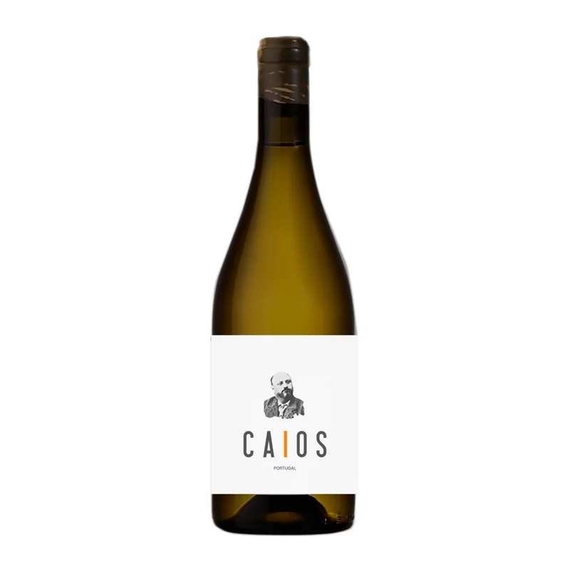 Caios Branco 2013