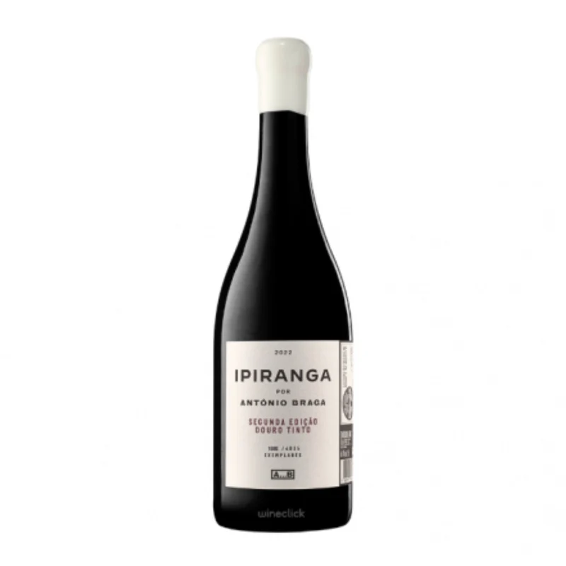 António Braga Ipiranga Tinto