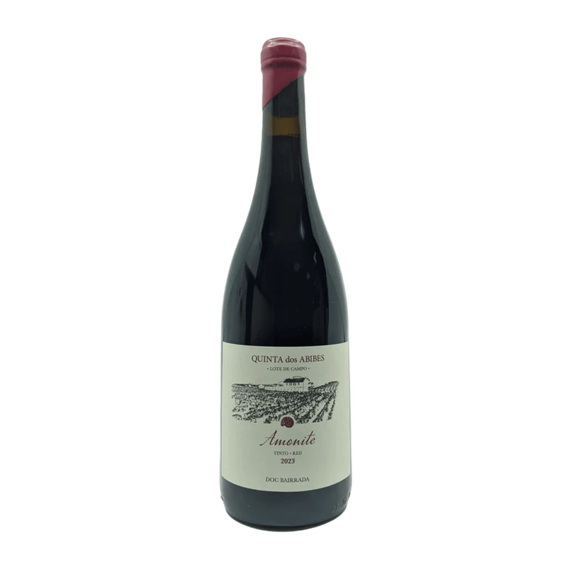 Abibes Amonite Tinto