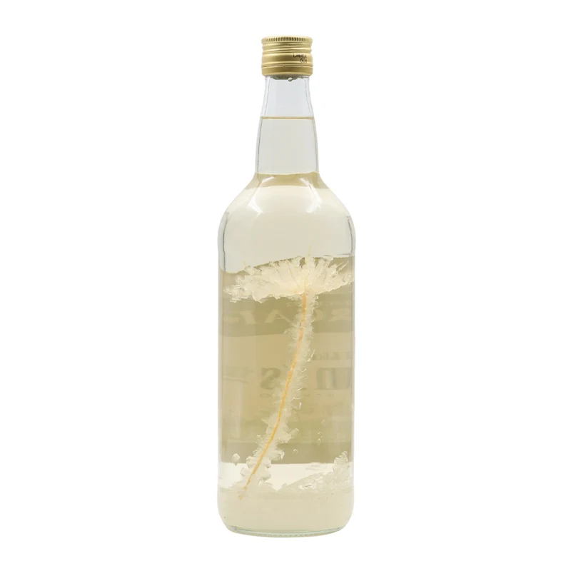 Albergaria Licor de Anis Escarchado