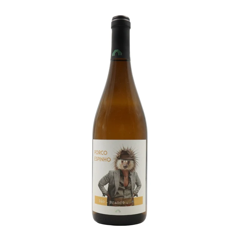 Porco Espinho Branco