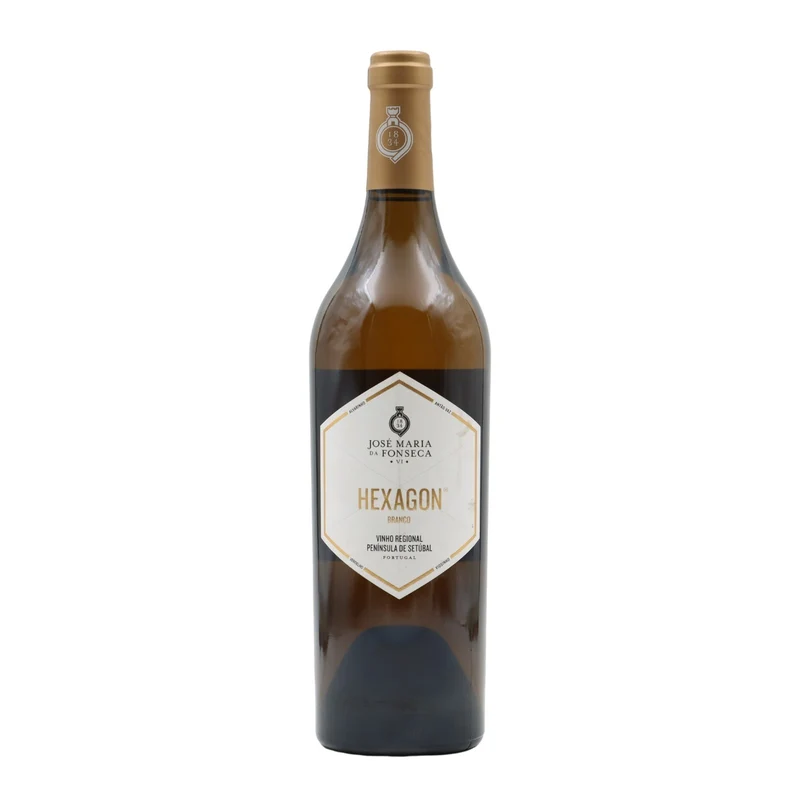 Hexagon Branco 2017