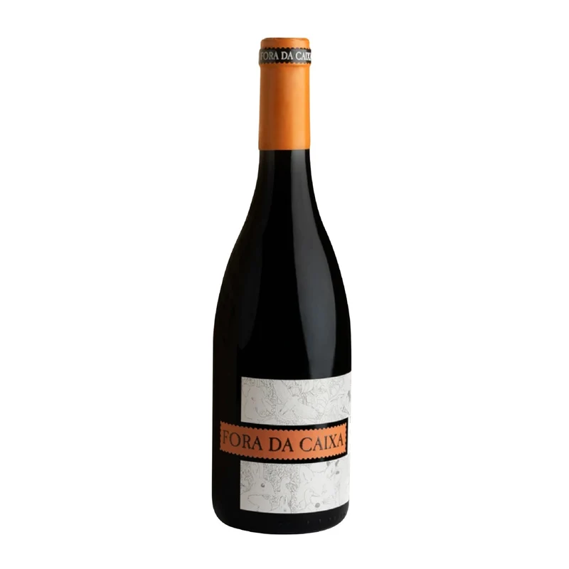 Fora da Caixa de João Silva e Sousa Tinto
