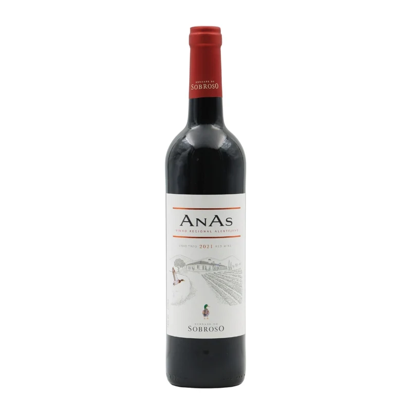 Anas Tinto