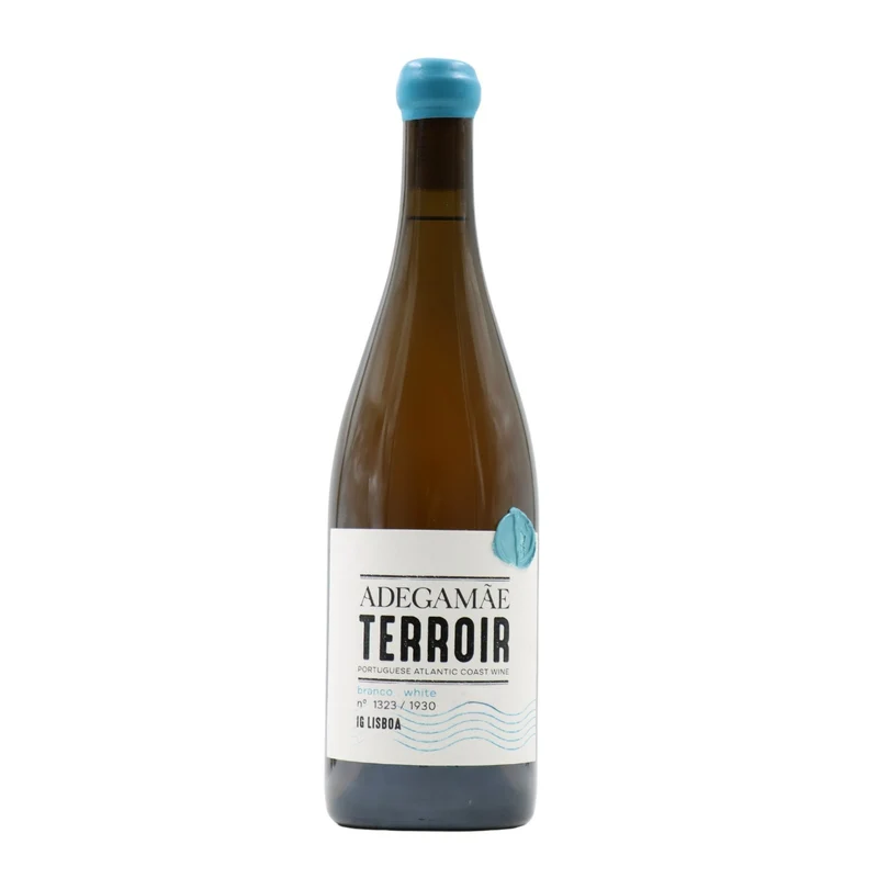 Adega Mãe Terroir Branco 2017
