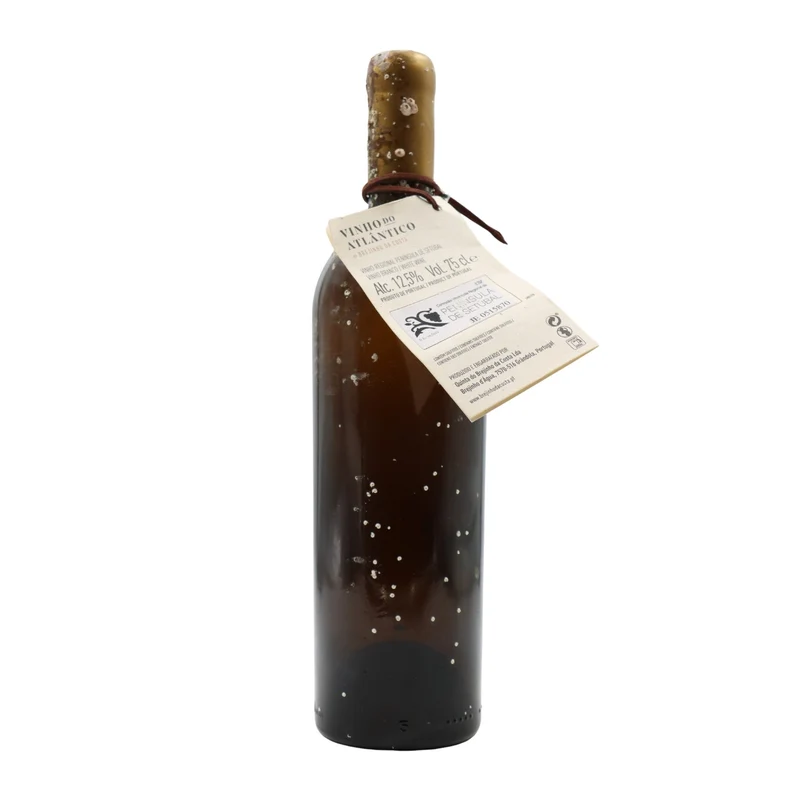 Brejinho da Costa Vinho do Atlantico Branco