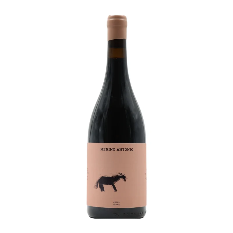 Malhadinha Menino António Tinto