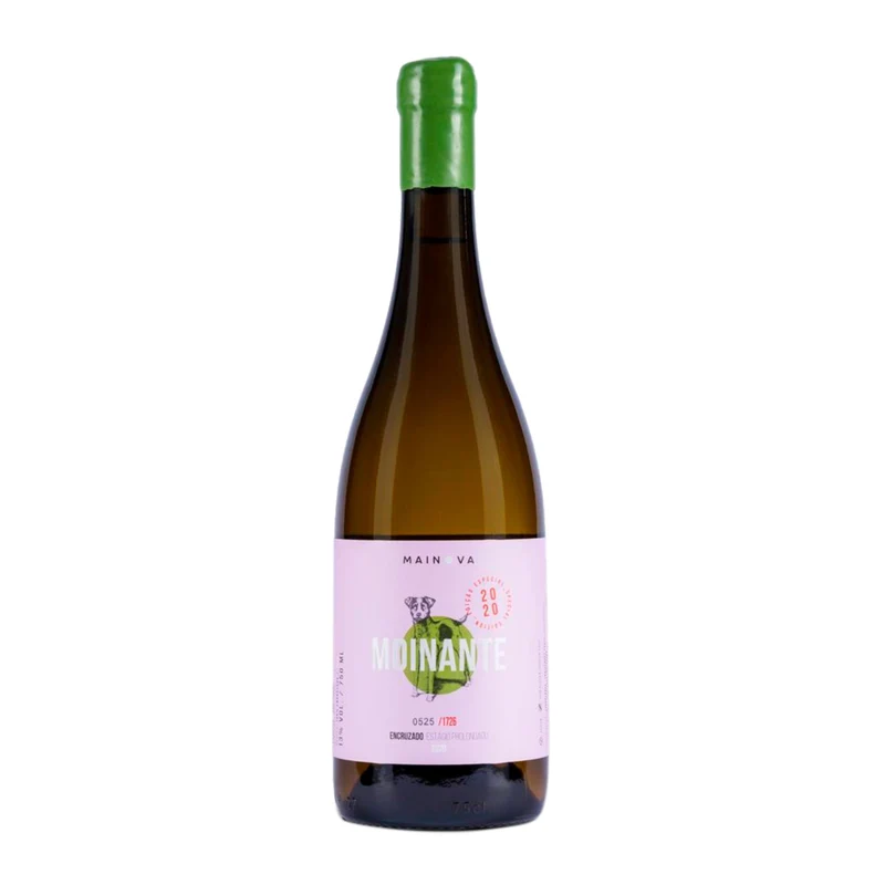 Moinante Encruzado Estágio Prolongado Branco