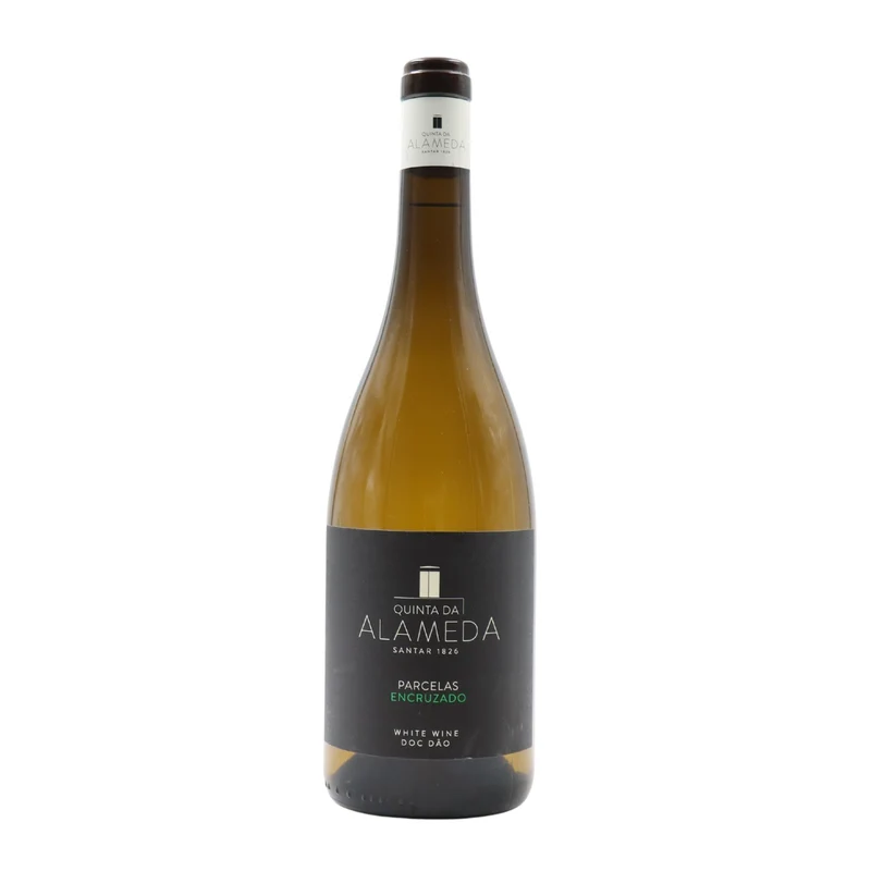 Quinta da Alameda Parcelas Encruzado Branco