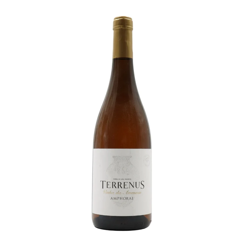 Terrenus Vinha da Ammaia Amphorae Branco