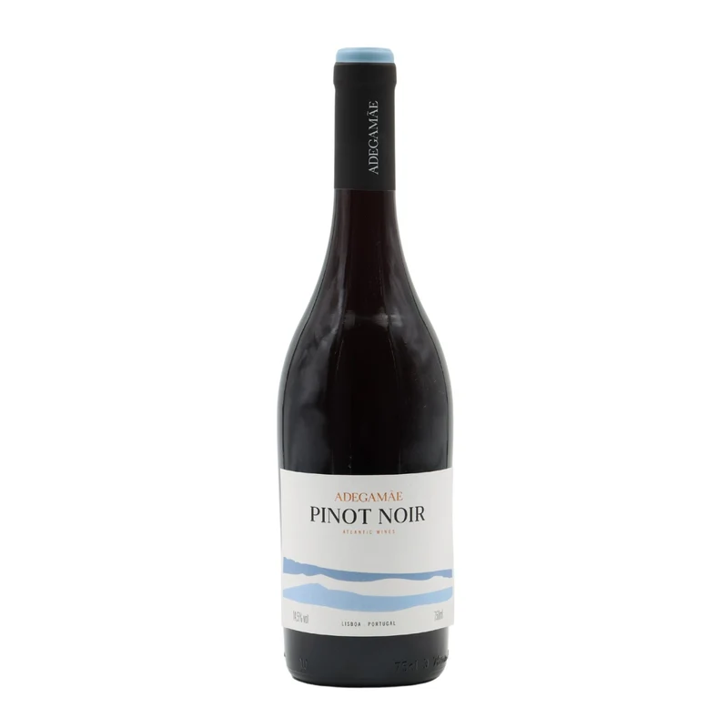 Adega Mãe Pinot Noir Tinto