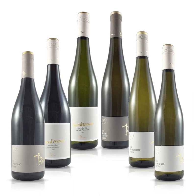 Südwesten: moderne Pfälzer - mit Profikorkenzieher gratis ! Weinpaket frei Haus