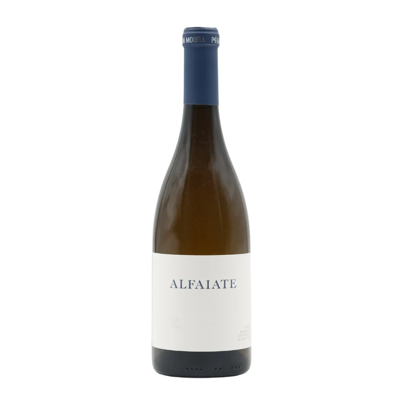 Alfaiate Branco