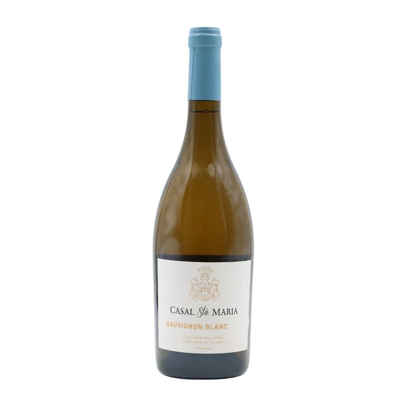 Casal Santa Maria Sauvignon Blanc Branco
