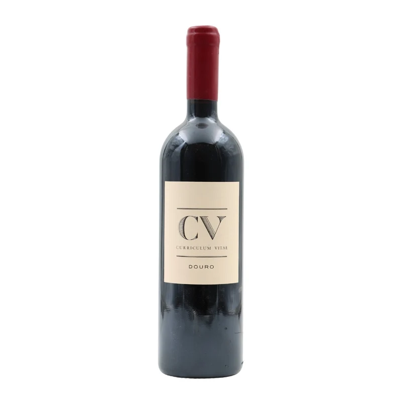 CV Curriculum Vitae Tinto