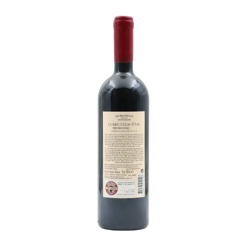 CV Curriculum Vitae Tinto