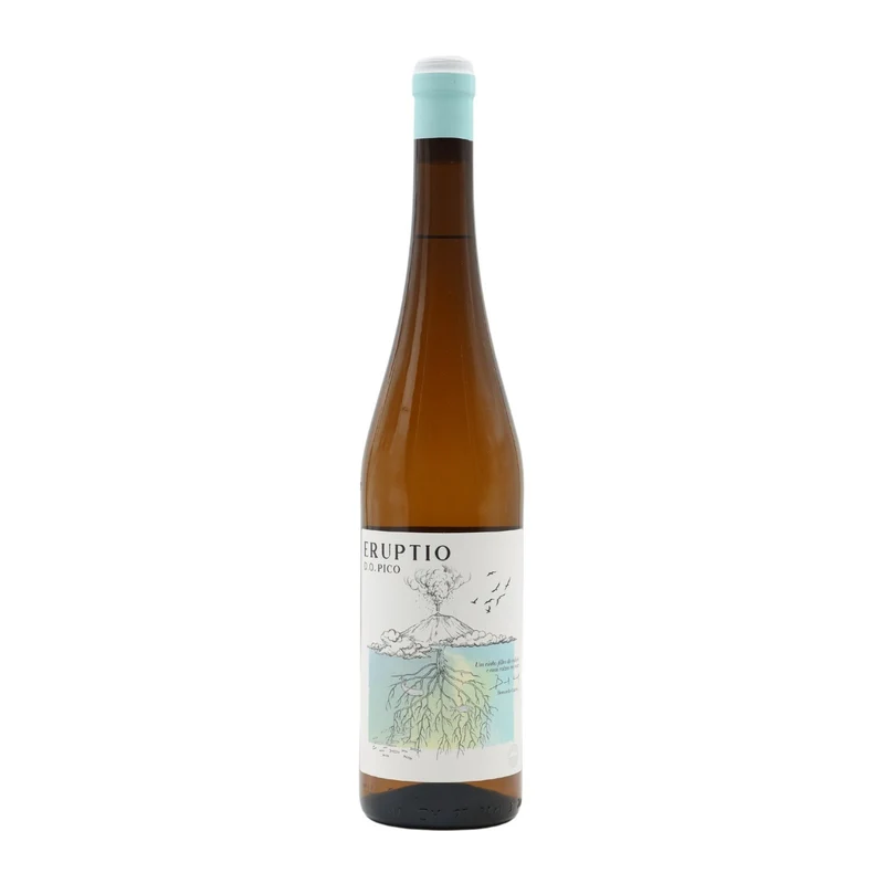 Eruptio Branco 2019