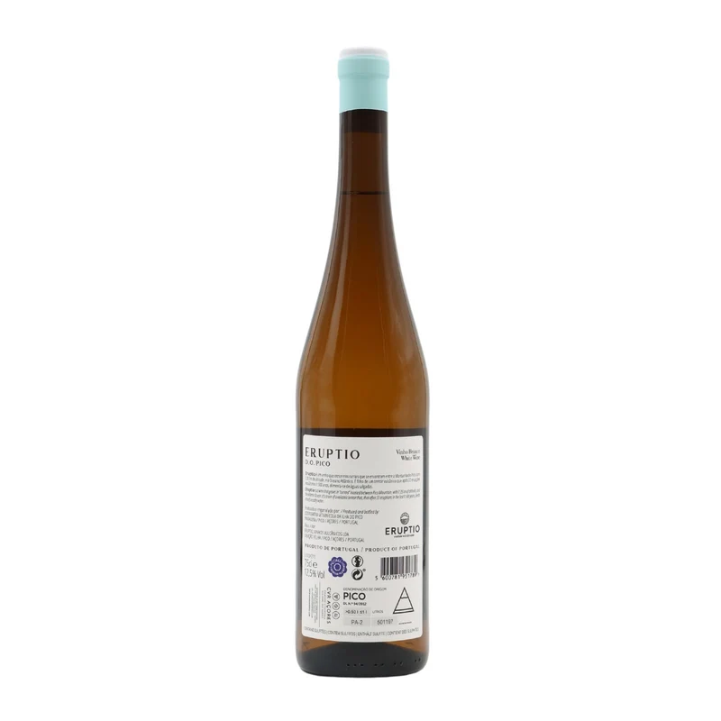 Eruptio Branco 2019