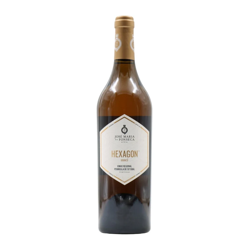 Hexagon Branco 2014
