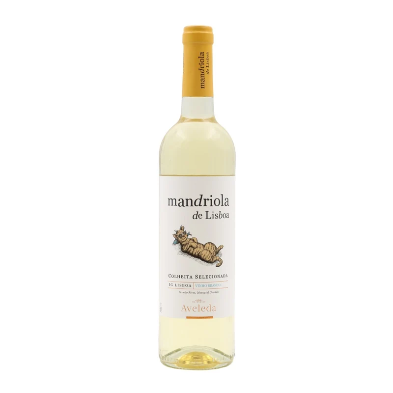 Mandriola de Lisboa Branco