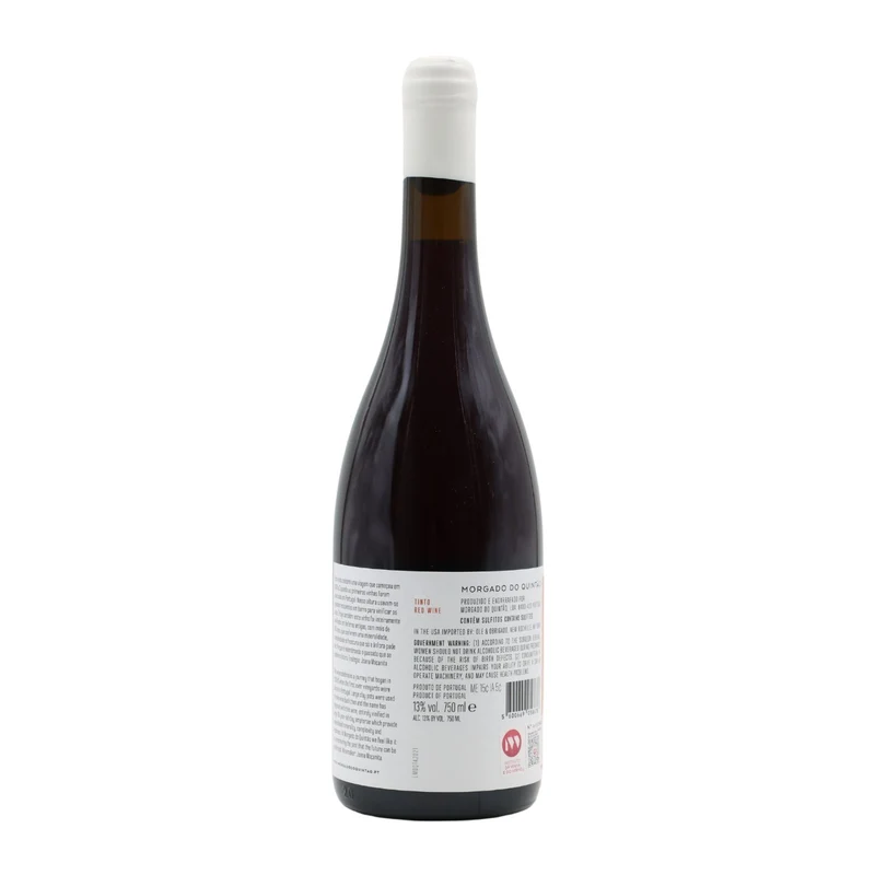 Morgado do Quintão Anfora Tinto