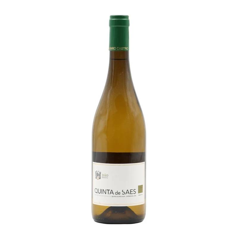 Quinta de Saes Branco