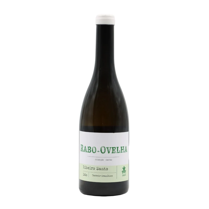 Ribeiro Santo Rabo de Ovelha Branco