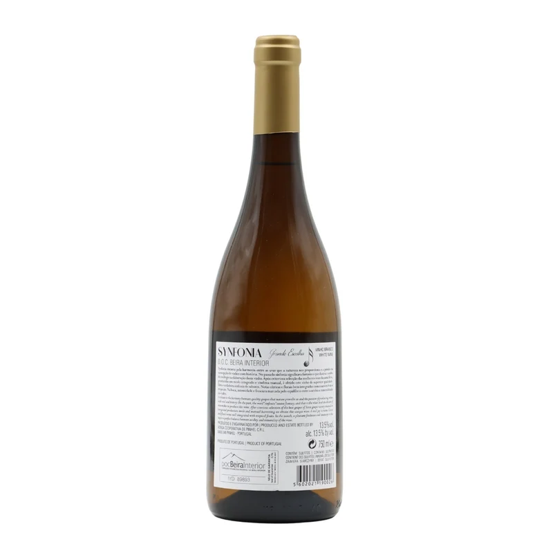 Synfonia Grande Escolha Síria Branco