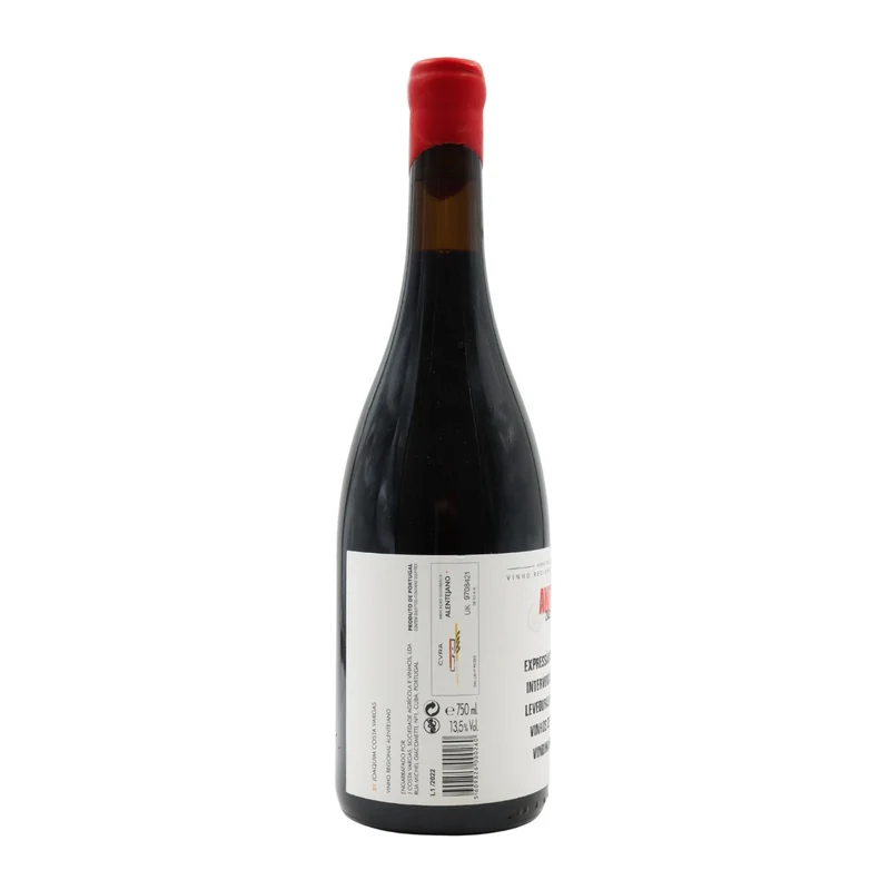 Anexo Tinto