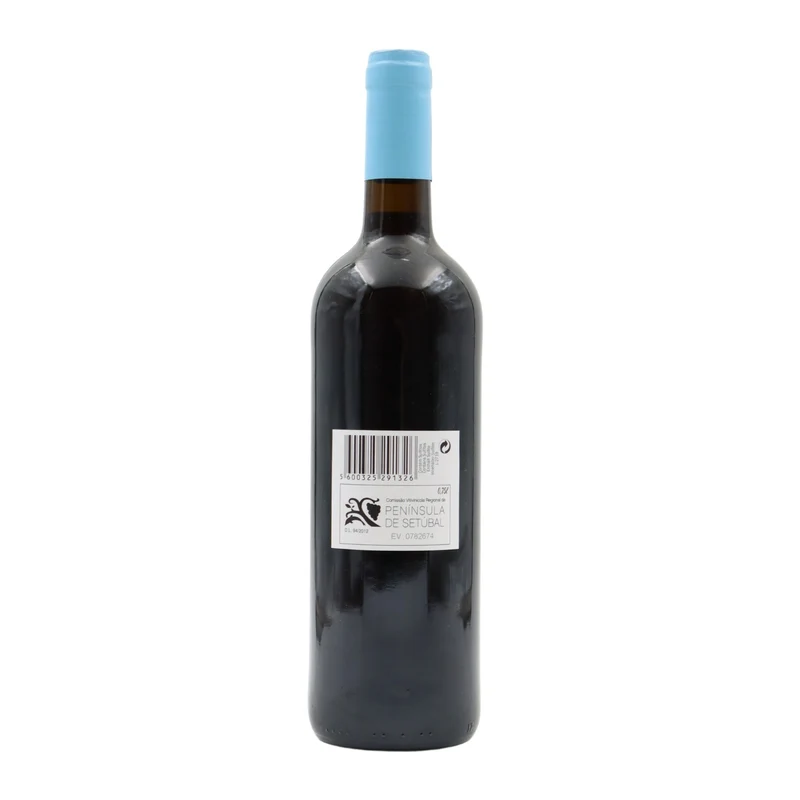Autocarro 27 Tinto