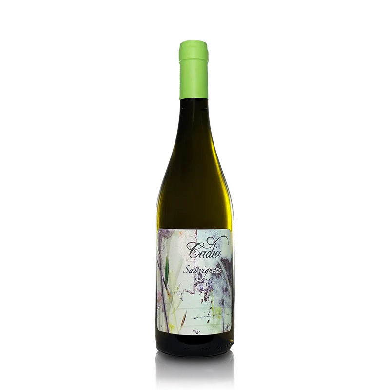 Sauvignon 'Abrigat' Cadia Piemont - 10% extra online oder nimm 6 zahl 5 - frei Haus imPaket