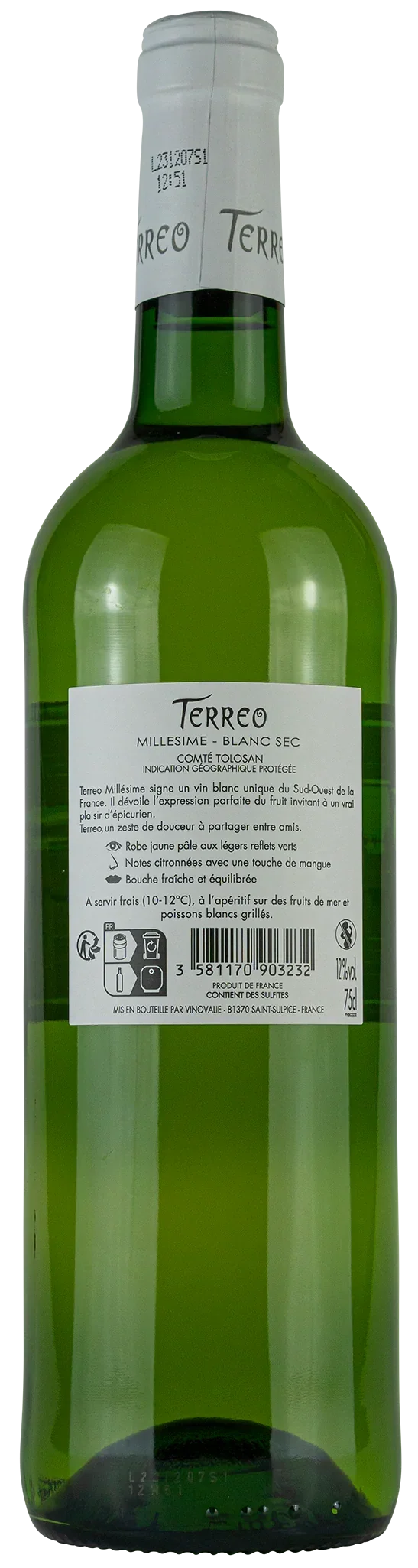 Terreo 2023 - blanc