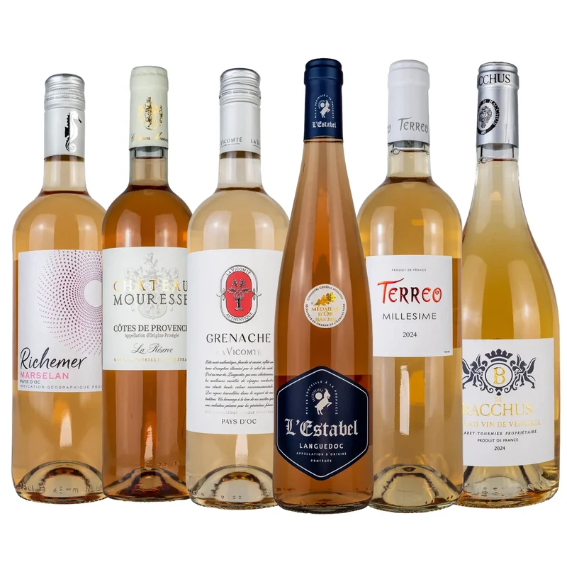 Rose-Paket Vielfalt 'NEU'