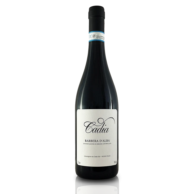 Barbera d'Alba DOC Cadia Piemont - im Paket frei Haus !