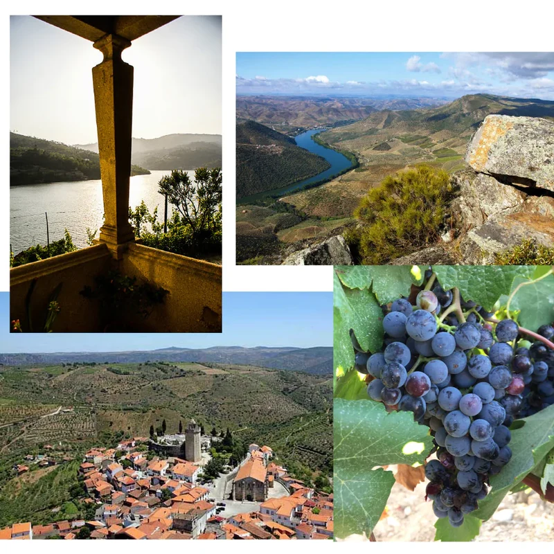 Adega Exclusiva Weinreisen 2026 Tour Nord