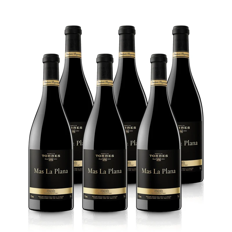 2019 Torres Mas La Plana Cabernet Sauvignon - Spanien