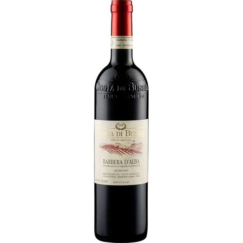 2022 Barbera d'Alba DOC Costa du Bussia Piemont/Italien 0,75 l