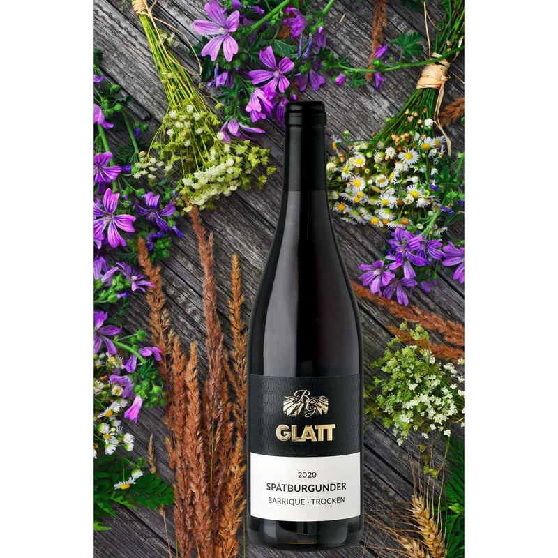 2020 Spätburgunder Barrique Rotwein trocken • GLATT • Qualitätswein vom Kaiserstuhl/Baden, Deutschland