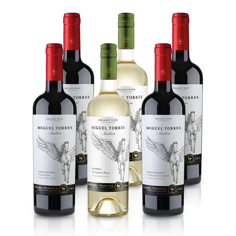 Feinste-Weine Miguel Torres Chile - Probierpaket - 3 x 2 Chilenische Weine im Tasting Paket (6x0,75l)