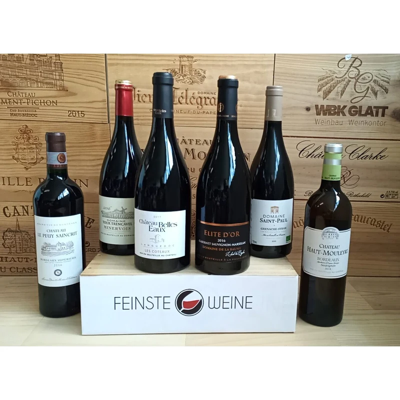Feinste Weine - Weinselektion 6er Frankreich - Bordeaux / Pays DO'C Restposten #3
