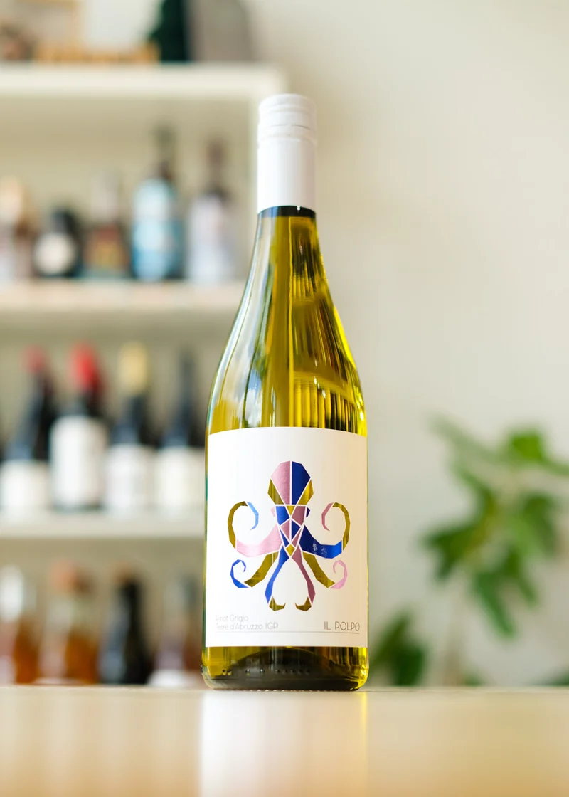 'IL Polpo' Pinot Grigio