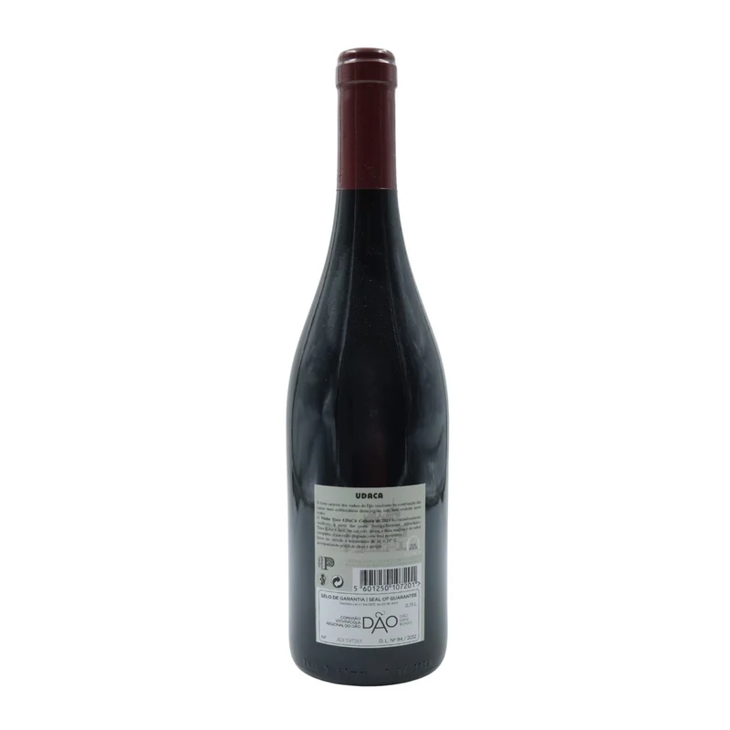 Udaca Tinto