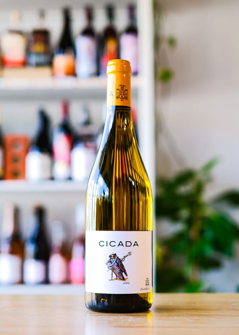 'Cicada' Blanc