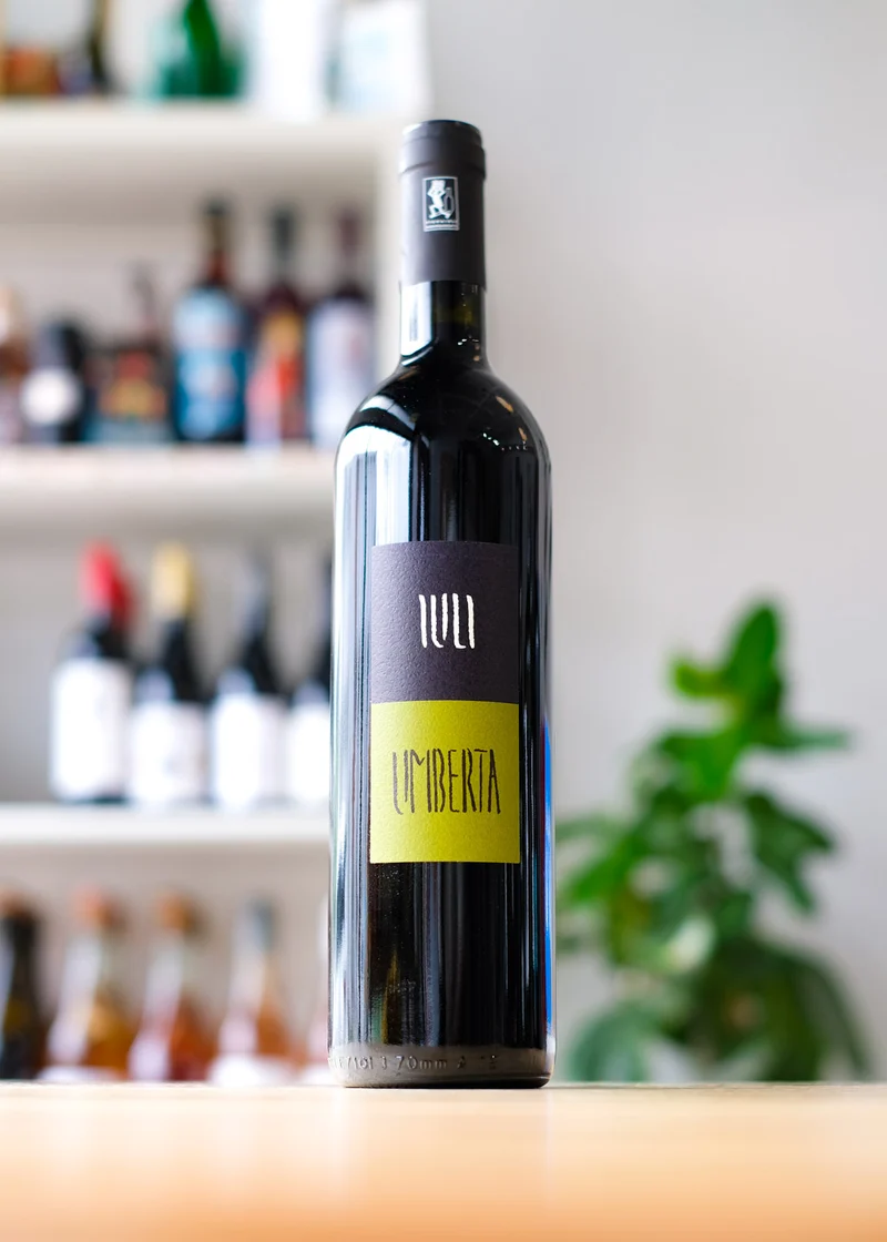 'Umberta'