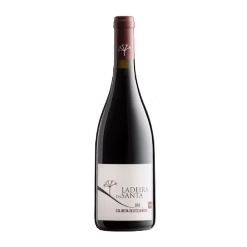 Ladeira da Santa Tinto
