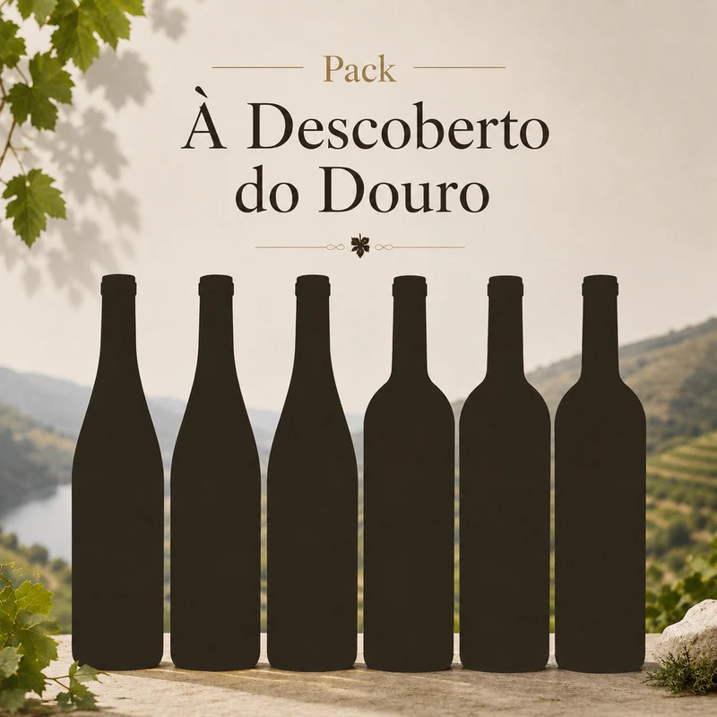 Pack "À Descoberta Douro"