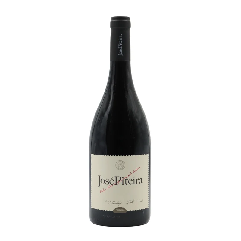 José Piteira Tinto