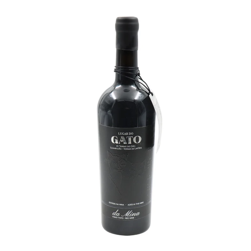 Gato da Mina Tinto