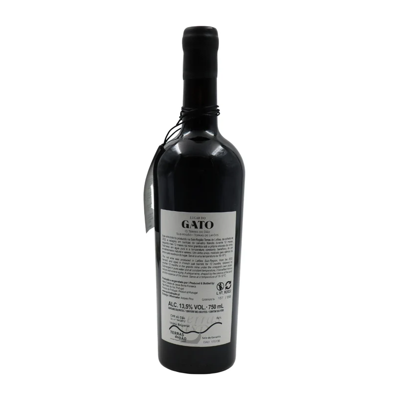Gato da Mina Tinto